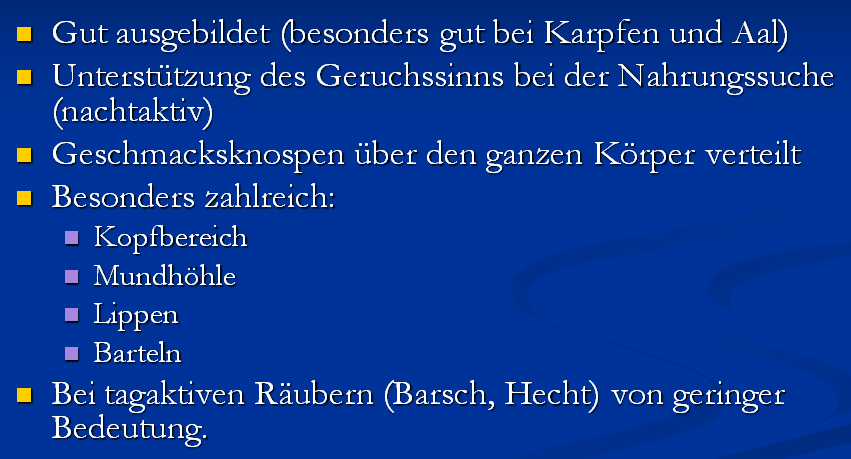 06 01 Geschmackssinn