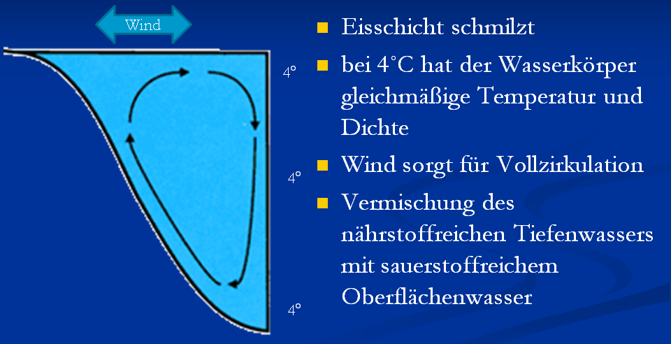 06 05 FrühjahrsVollzirkulation