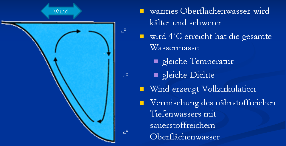 06 05 HerbstVollzirkulation