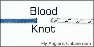 Blood Knot