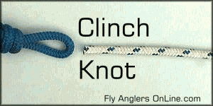 Clinch Knot
