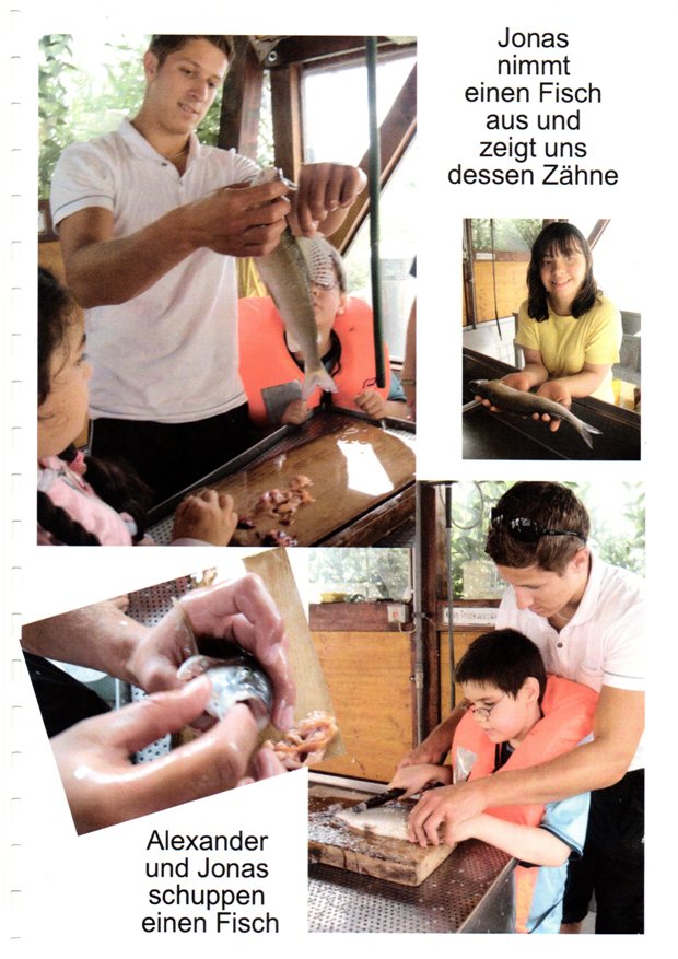 Projekt Regenbogenschule